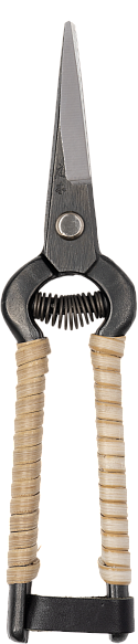 Niwaki Rattan Snips