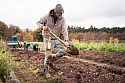 Burnt Fen Flowers: Alfie Nickerson with a Golden Spade and Hori Hori Pro