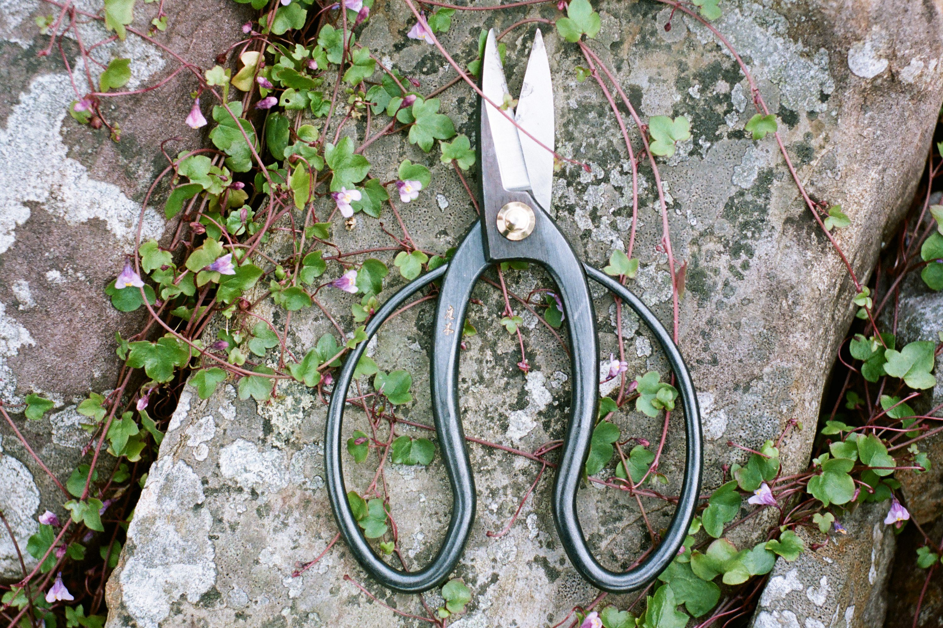 Paul Smith X Higurashi Scissors