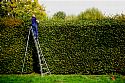 Essential for hedging contractors and tree surgeons