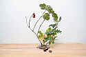 Ikebana