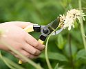 Mainichi Secateurs • Small, for smaller hands