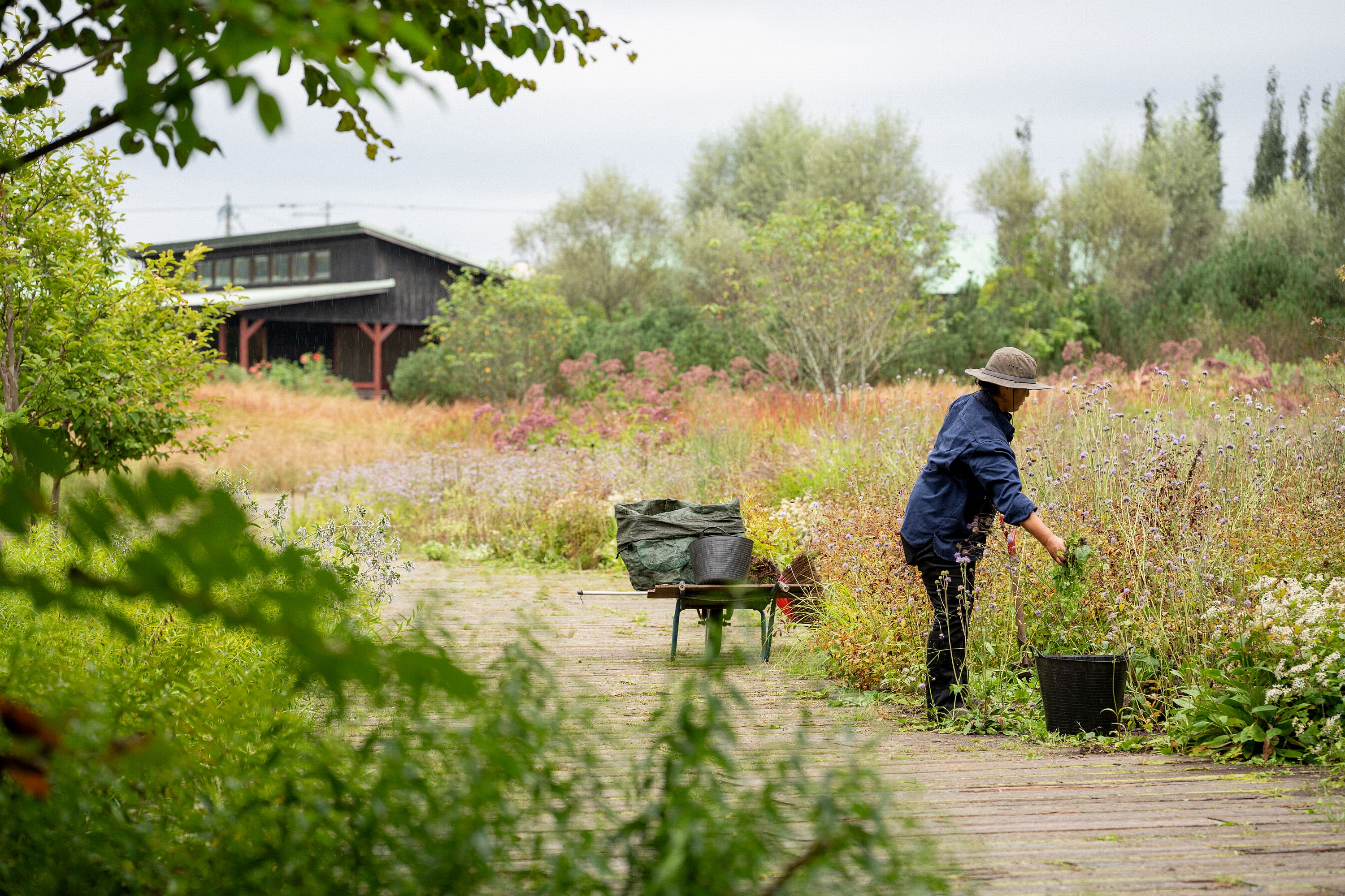 Midori Shintani Head Gardener at Tokachi Millennium Forest Hokkaido Japan