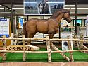 Banei Tokachi Draught Horse statue in Obihiro Airport