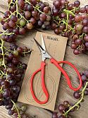 Niwaki Grape Snips / Scissors
