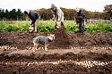 Burnt Fen Helpers