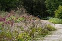 Tokachi Millennium Forest Meadow Garden, Hokkaido Japan