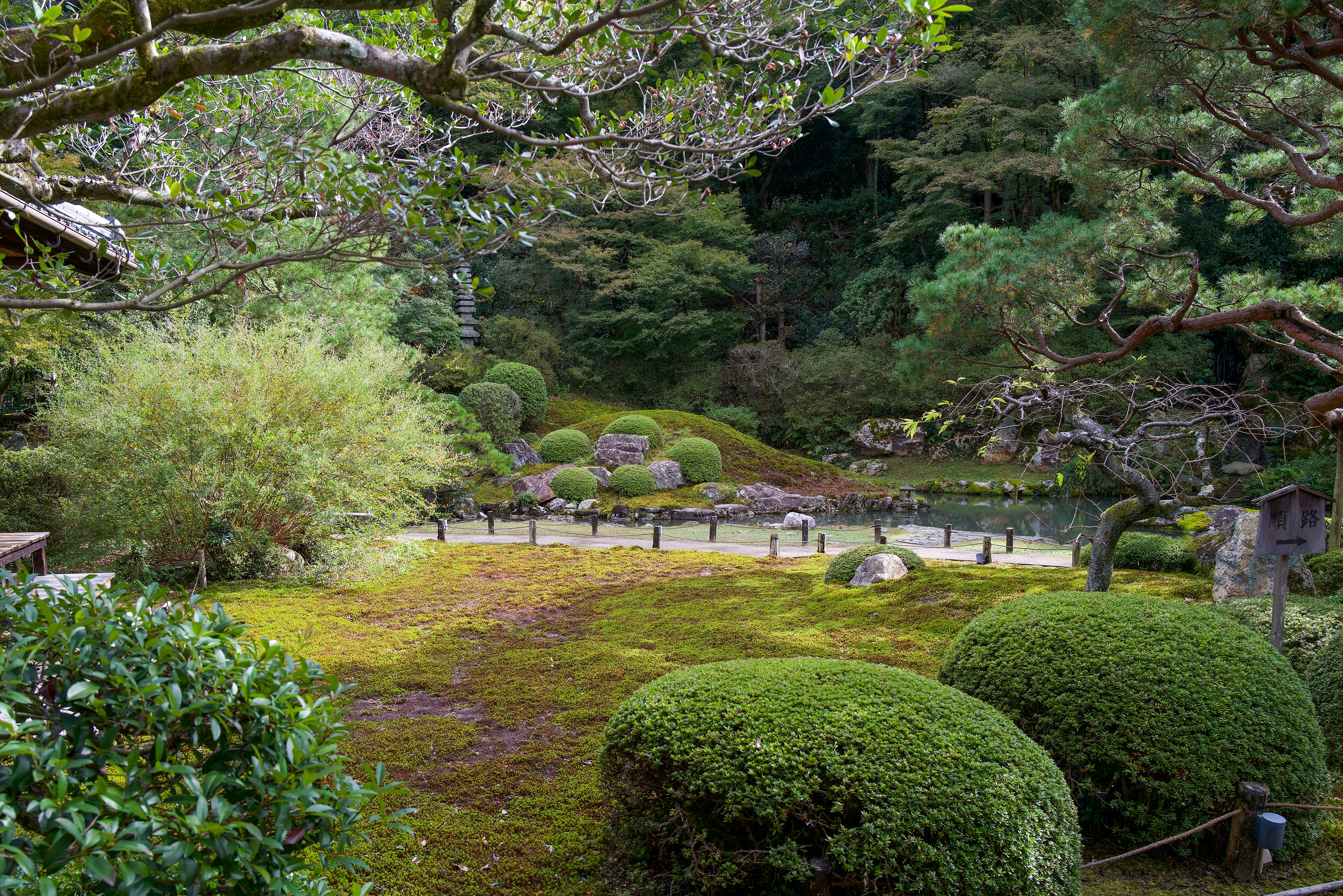 Two garden in Kyoto