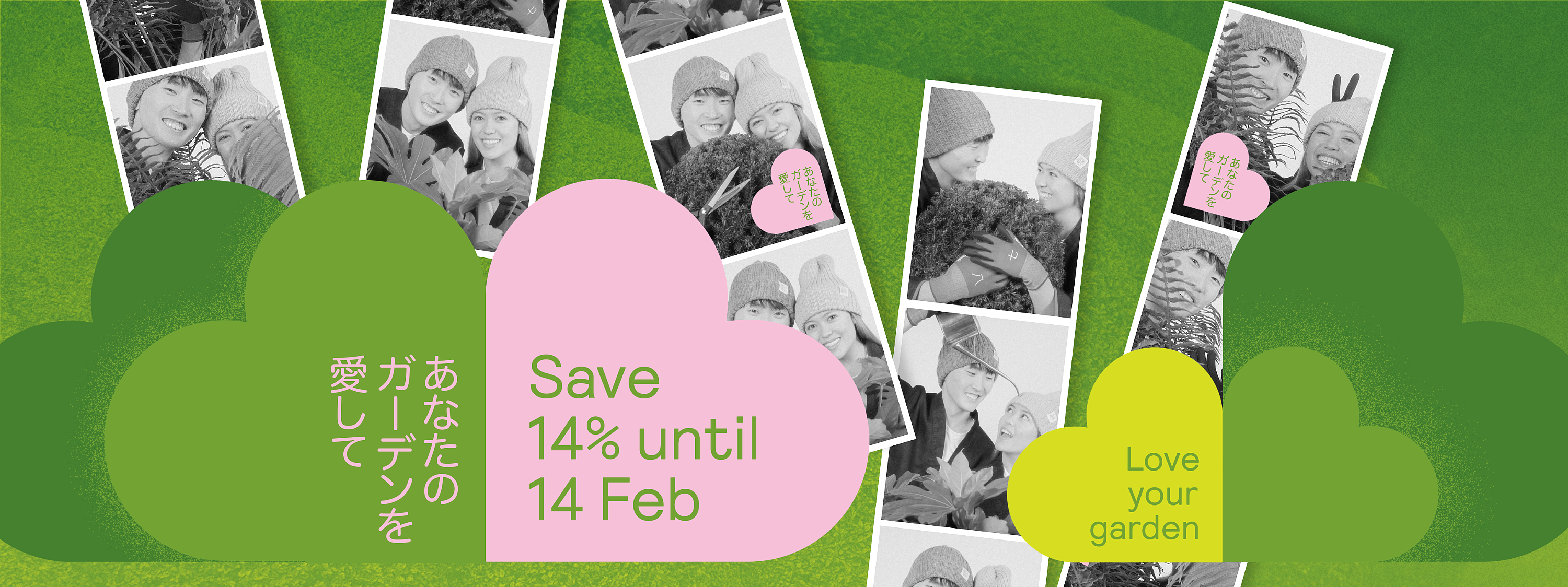 Valentines promotion save 14%