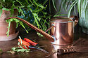 Negishi Copper Watering Can