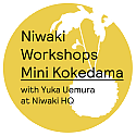 Niwaki HQ Workshops: Mini Kokedama • 4 Jul 2026 11am-12pm