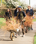 Errol and the Niwaki team collect bundles of Cornus sanguinea