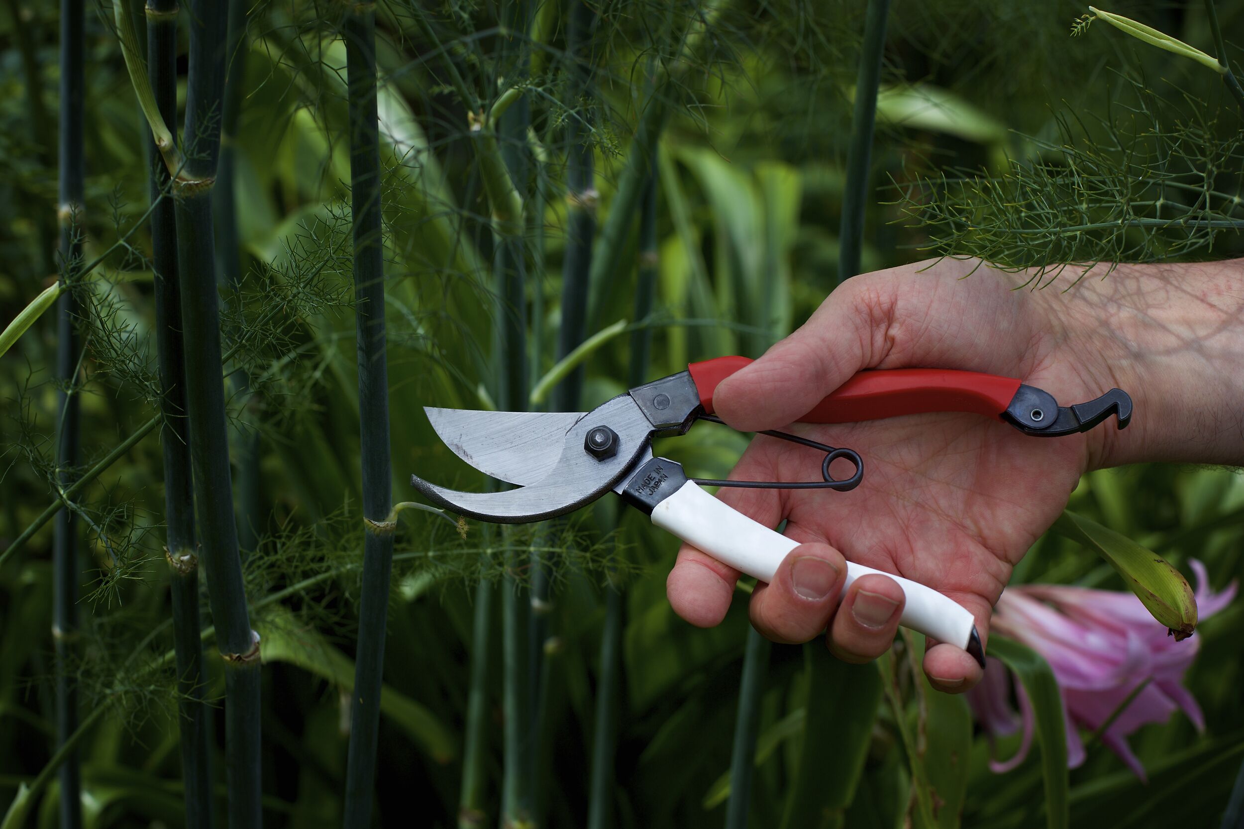 Okatsune Secateurs - Garden Pruners