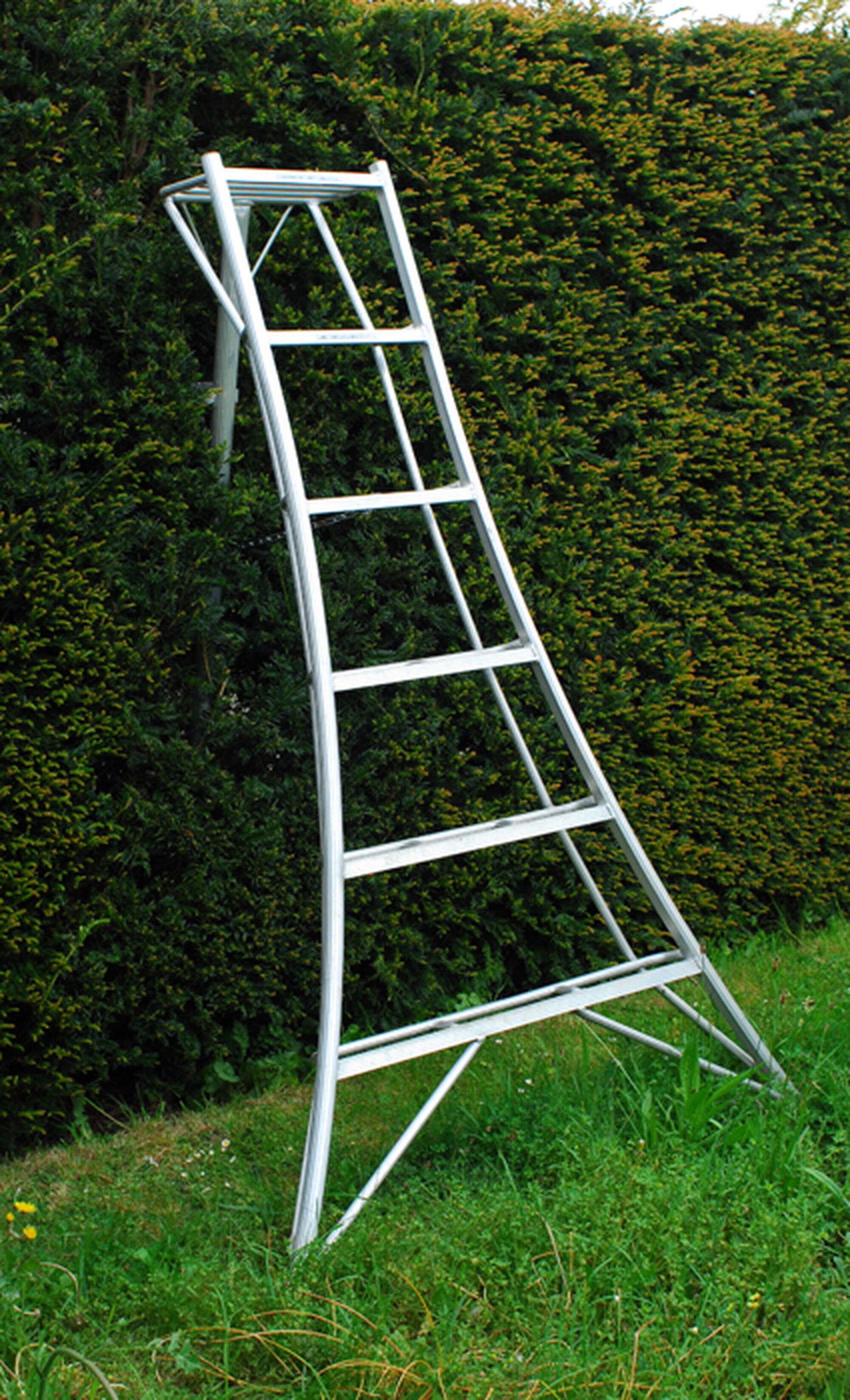 Niwaki Tripod Ladders for large topiary and hedges