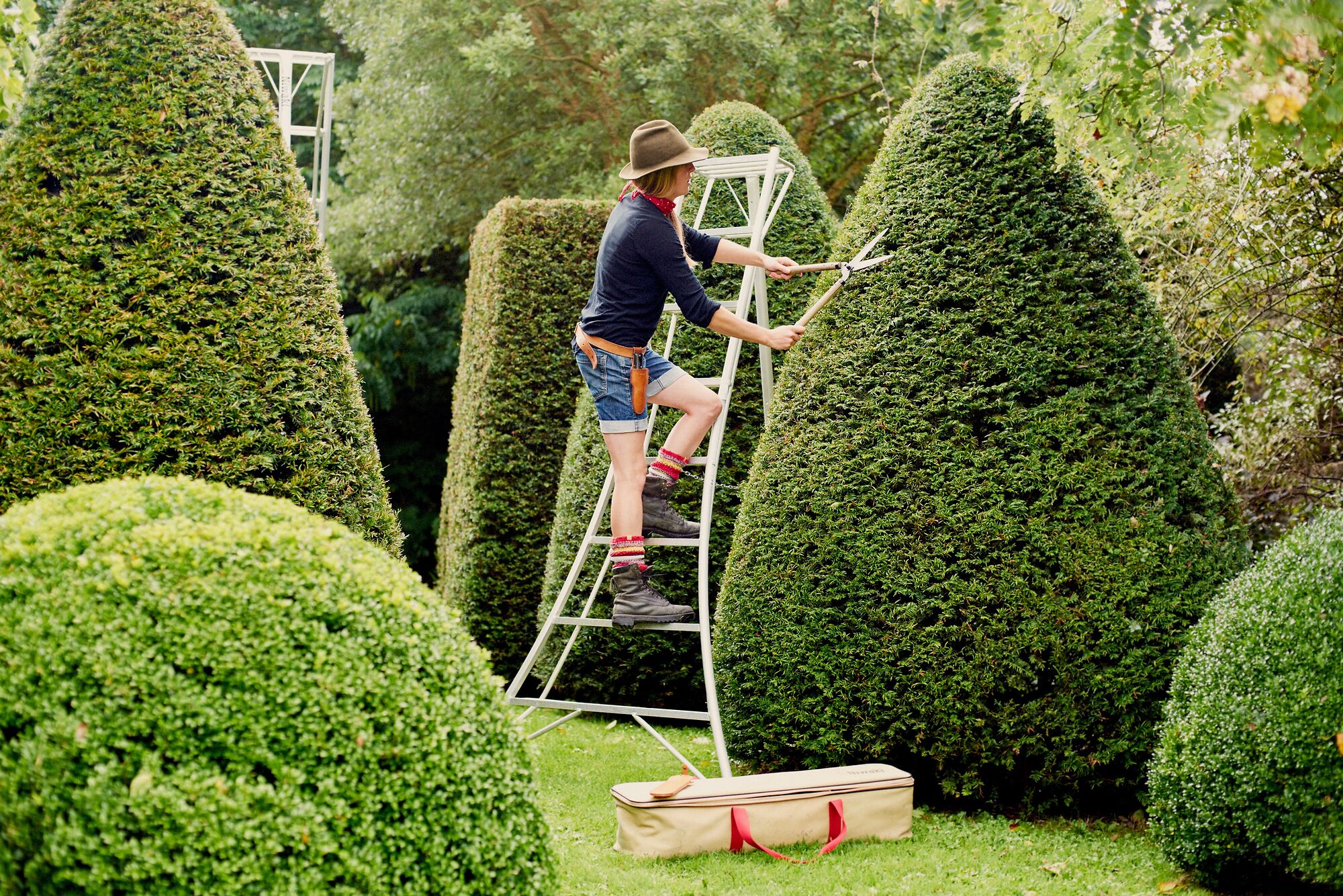 Niwaki Tripod Ladders for large topiary and hedges